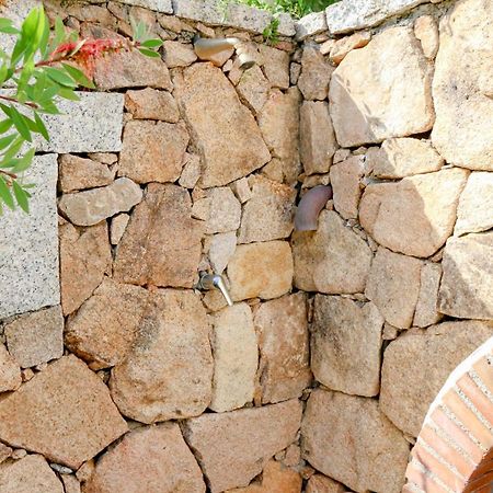 Casa Monte Ruiu Cala Gonone Dış mekan fotoğraf